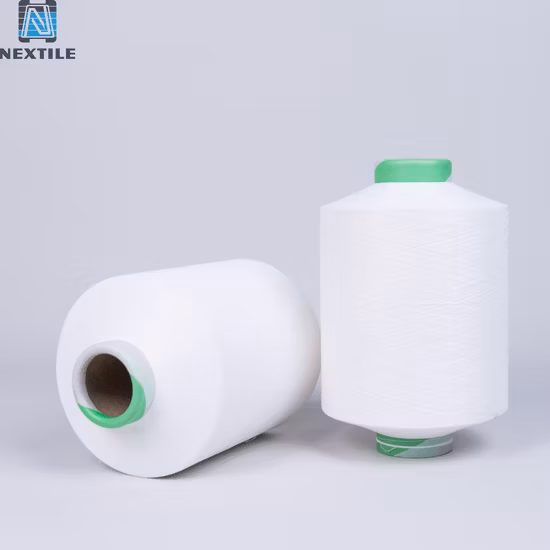 Imitation Memory Cotton Material PBT Yarn 75D for Knitting